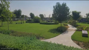 about us salesbury